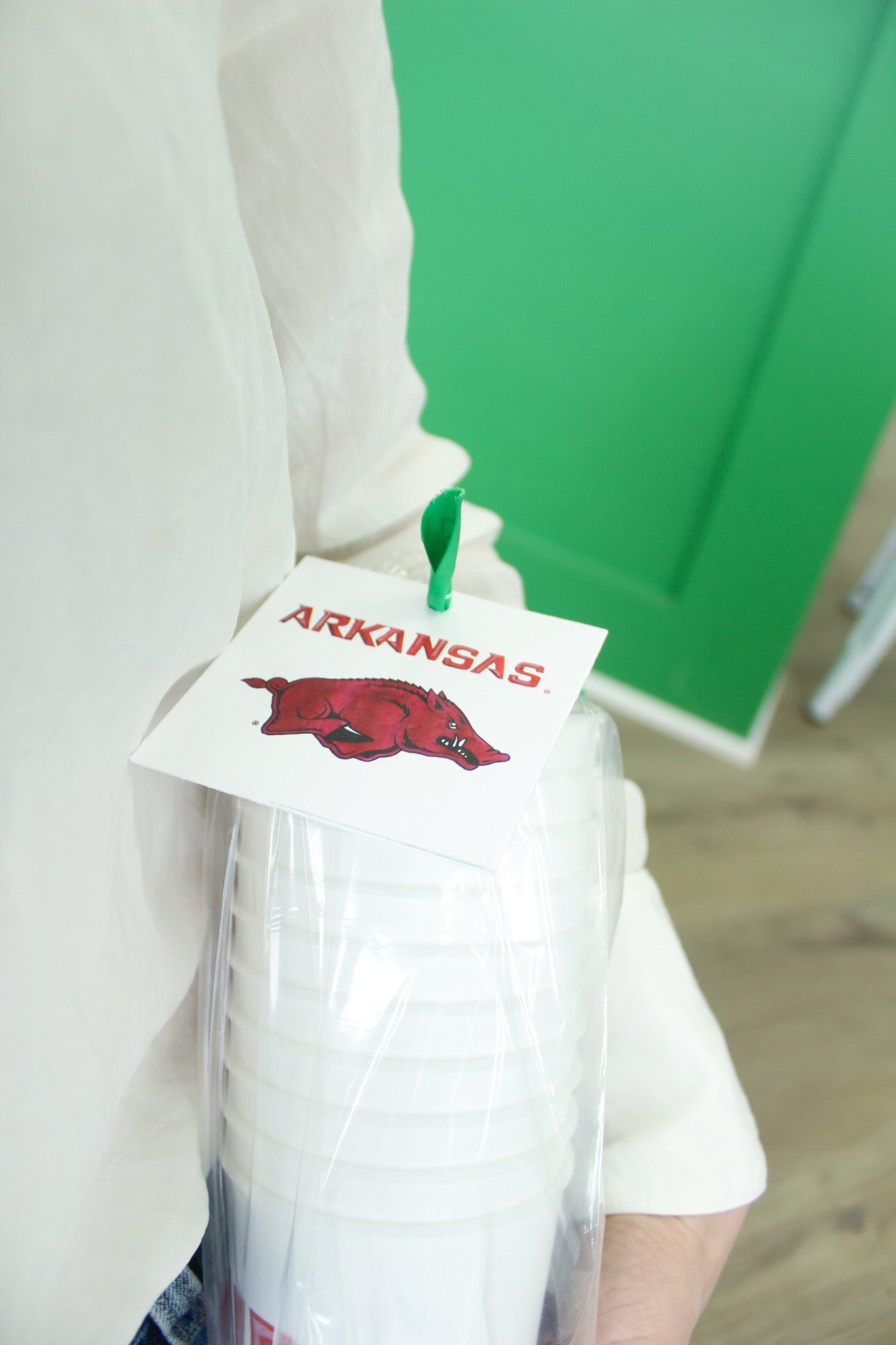 University of Arkansas razorbacks gift tags by FOSTER