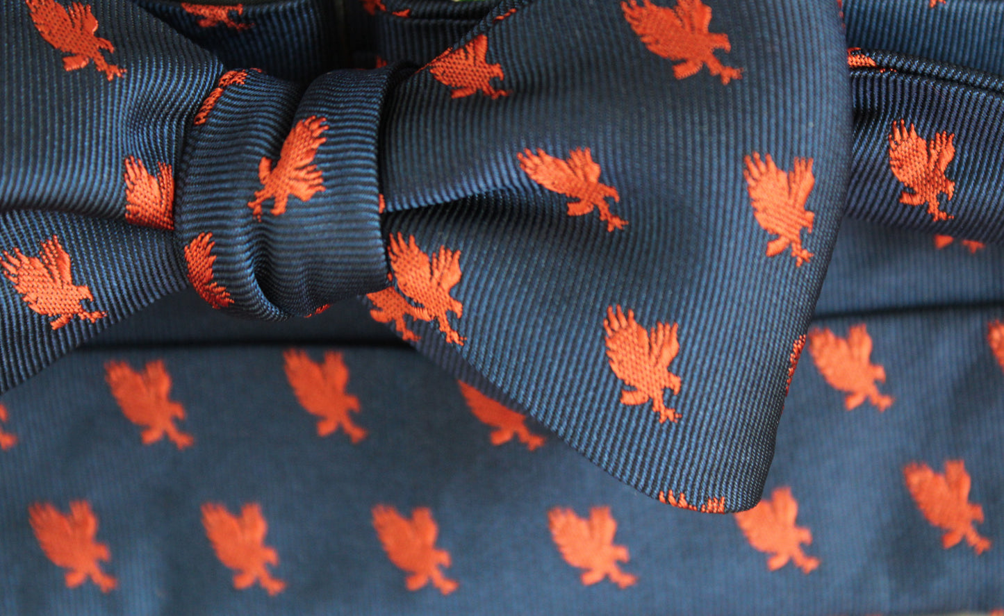 Auburn War Eagle Cummerbund Set