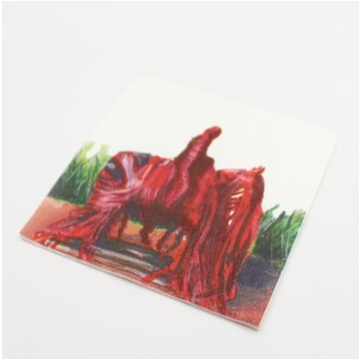 Texas Tech Will Rogers Napkins