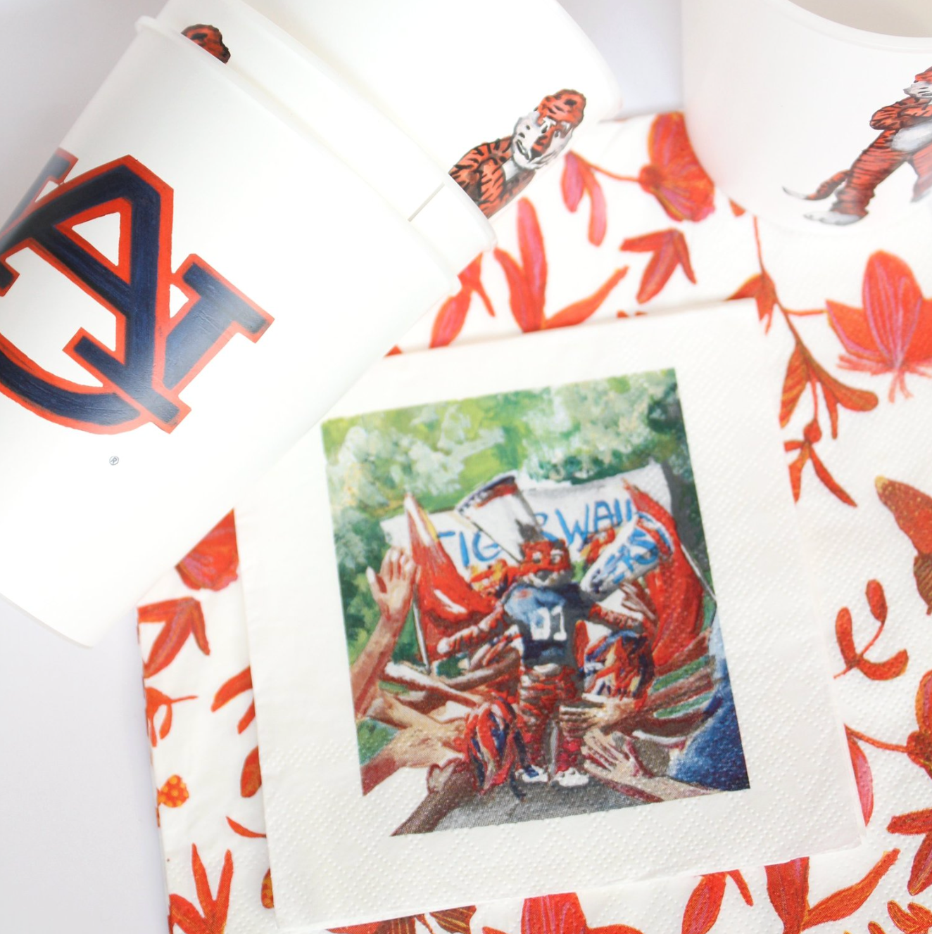 FOSTER Auburn paper napkins and plastic cups