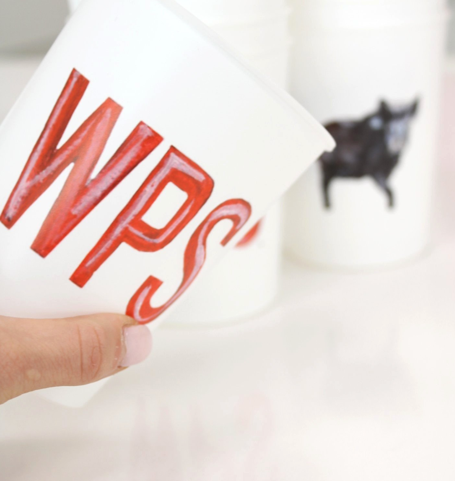 Arkansas Razorbacks reusable plastic cups