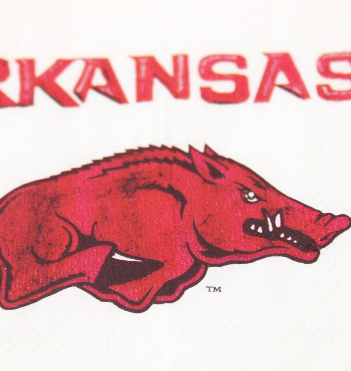 university of Arkansas paper napkins