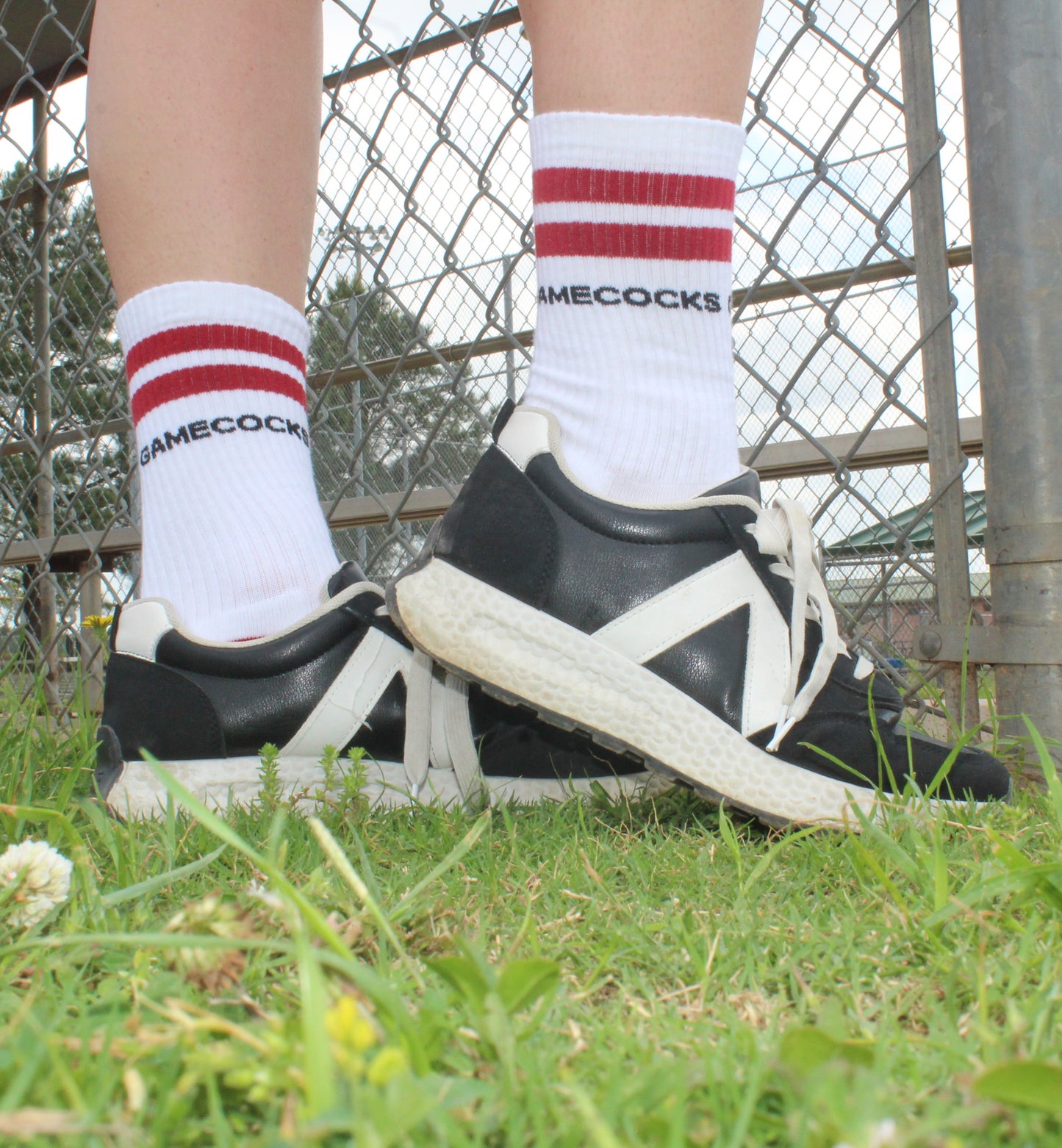 South Carolina Game Cocks Collegiate Retro Crew Socks