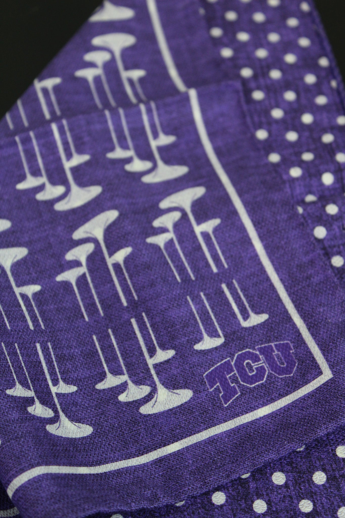 TCU Horned Frogs Men's Silk Pocket Square