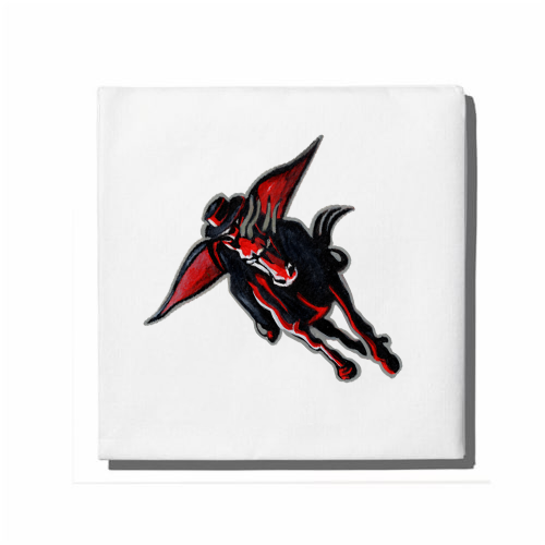 Texas Tech Red Raider Napkin Set