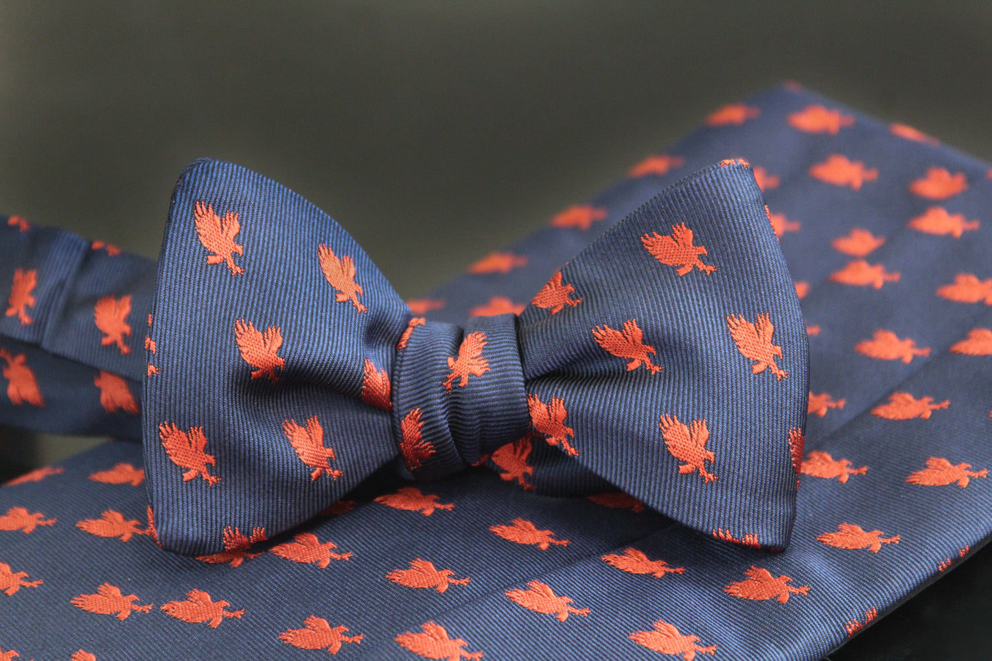 Auburn War Eagle Cummerbund Set