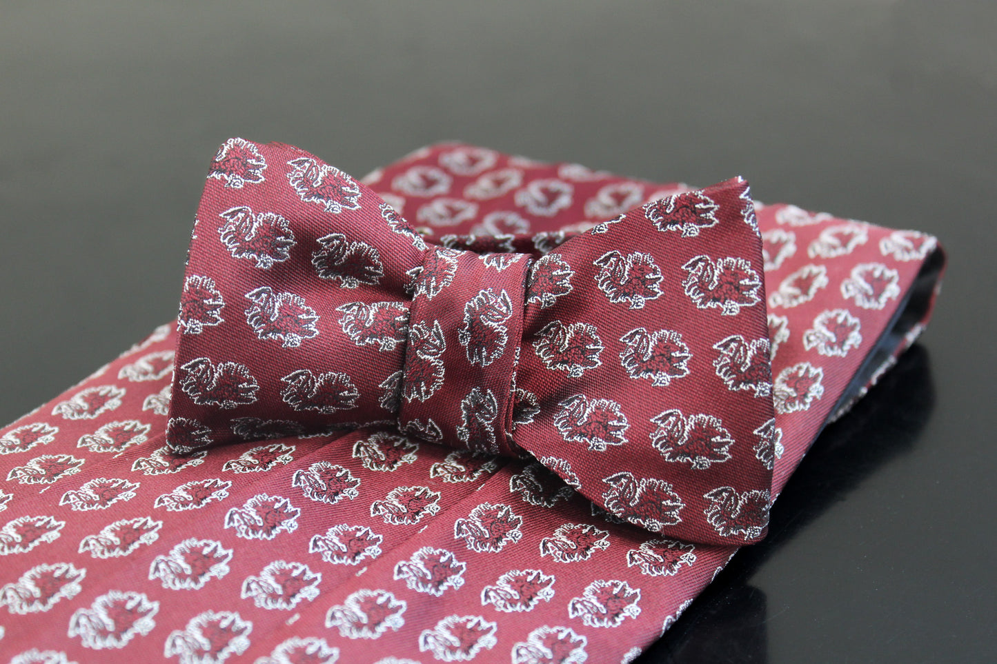 South Carolina Gamecocks Cummerbund Set