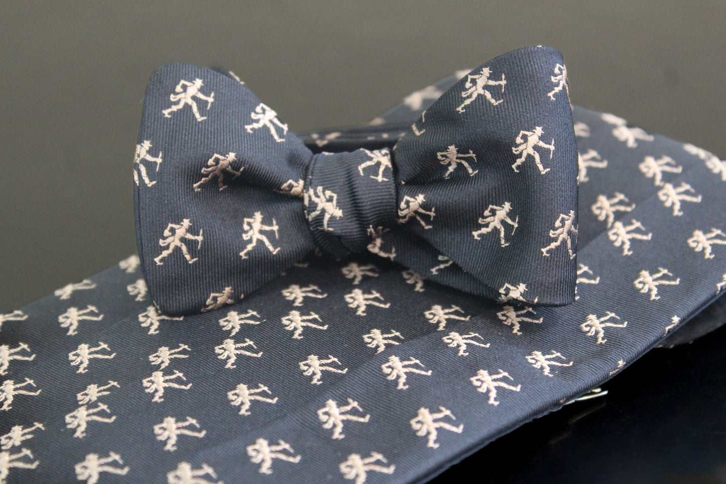 Wake Forest Demon Deacons Cummerbund Set