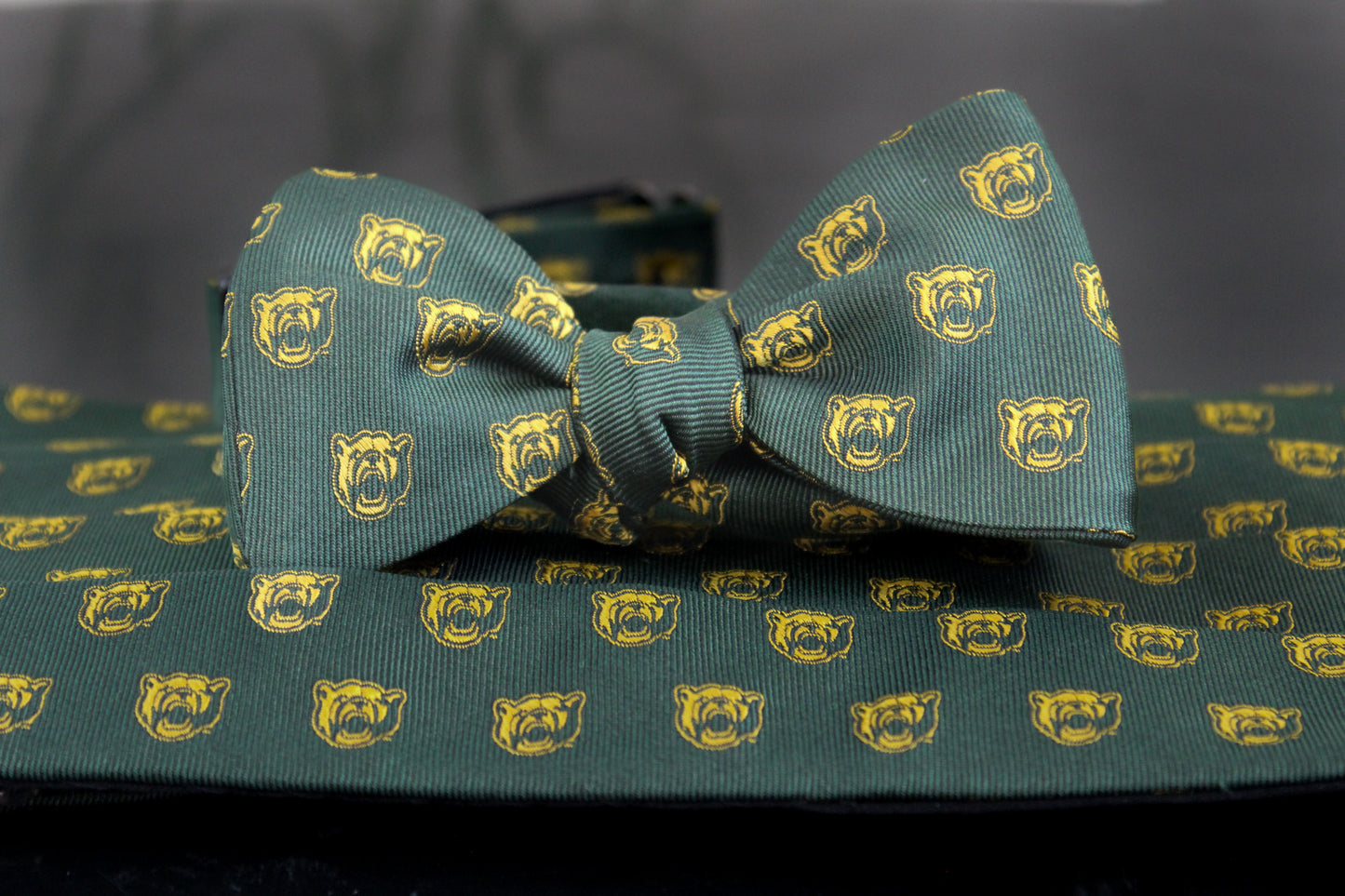 Baylor Bears Men's Silk Bow Tie